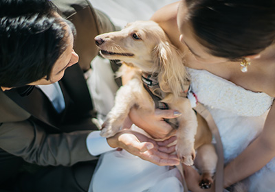 愛犬とのウエディングの画像